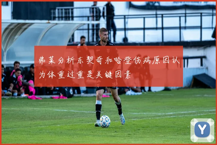 弗莱分析东契奇和哈登伤病原因认为体重过重是关键因素